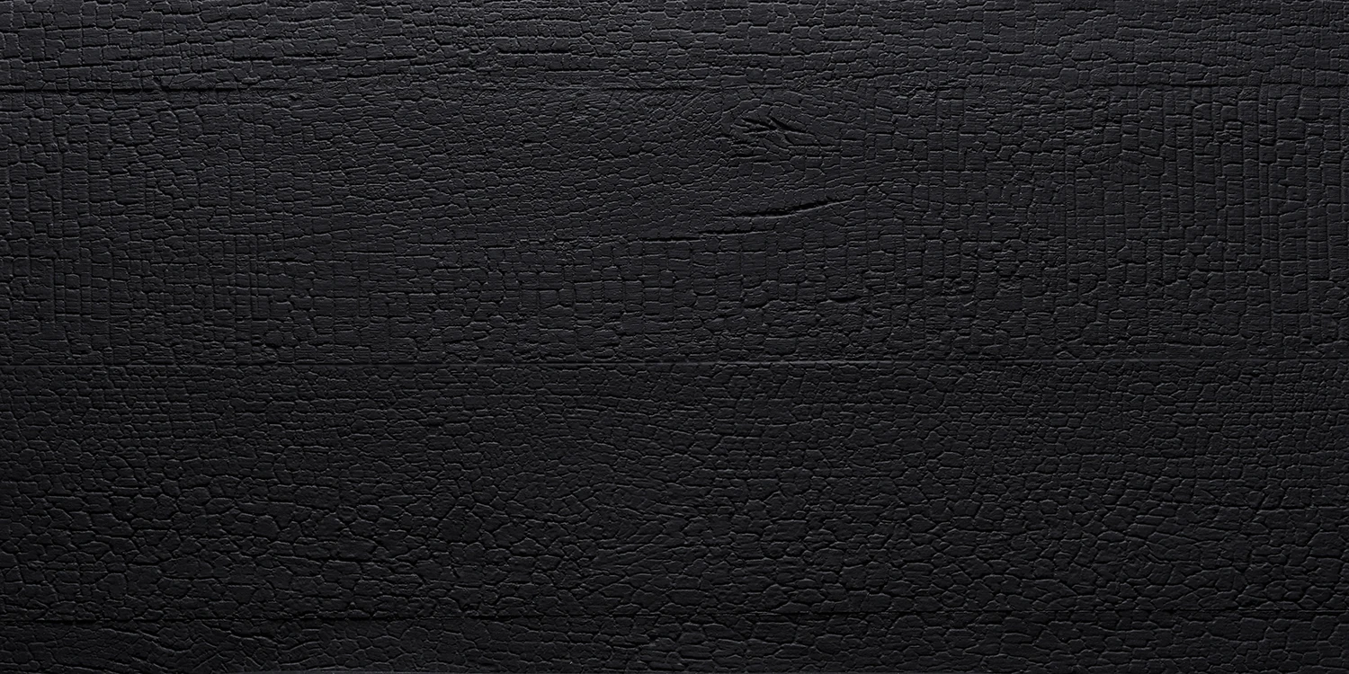 Charred Wood surface texture detail